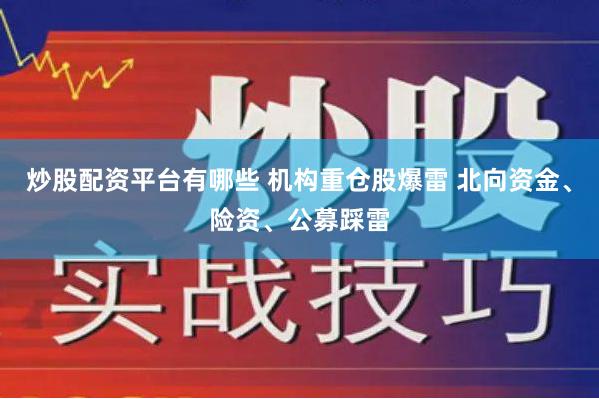 炒股配资平台有哪些 机构重仓股爆雷 北向资金、险资、公募踩雷